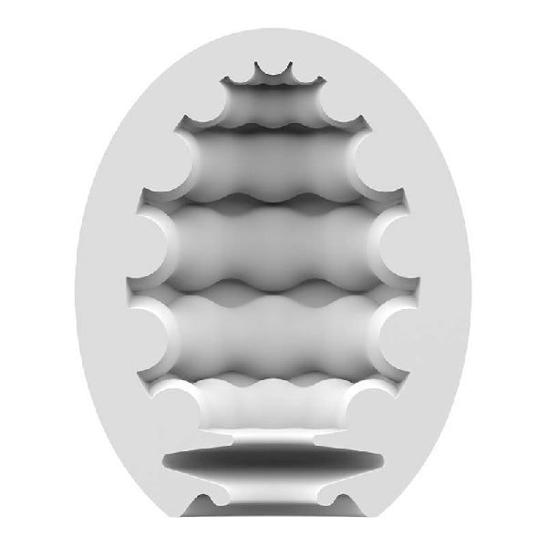 Satisfyer Masturbator Egg Riffle