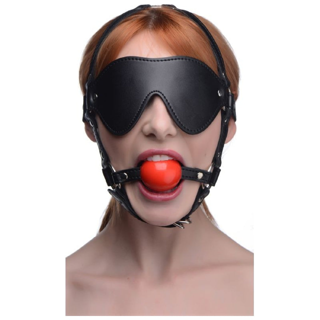 Blindfold Harness w Ball Gag