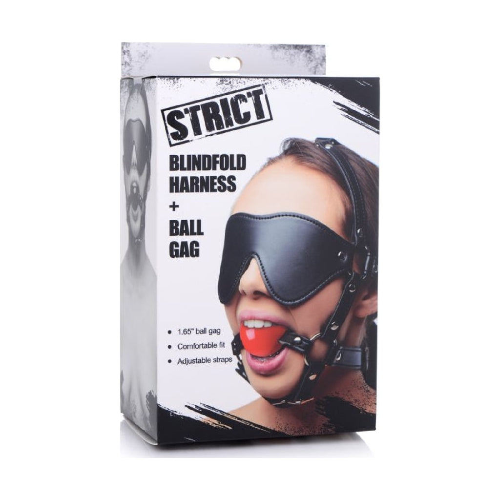 Blindfold Harness w Ball Gag