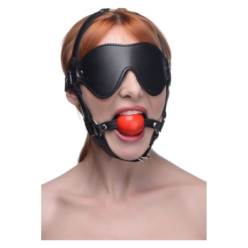 Blindfold Harness w Ball Gag