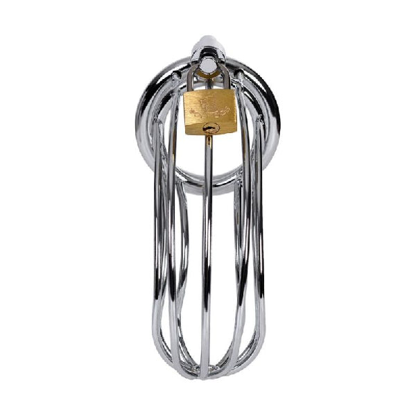 Silver Metal Birdcage Cock Cage