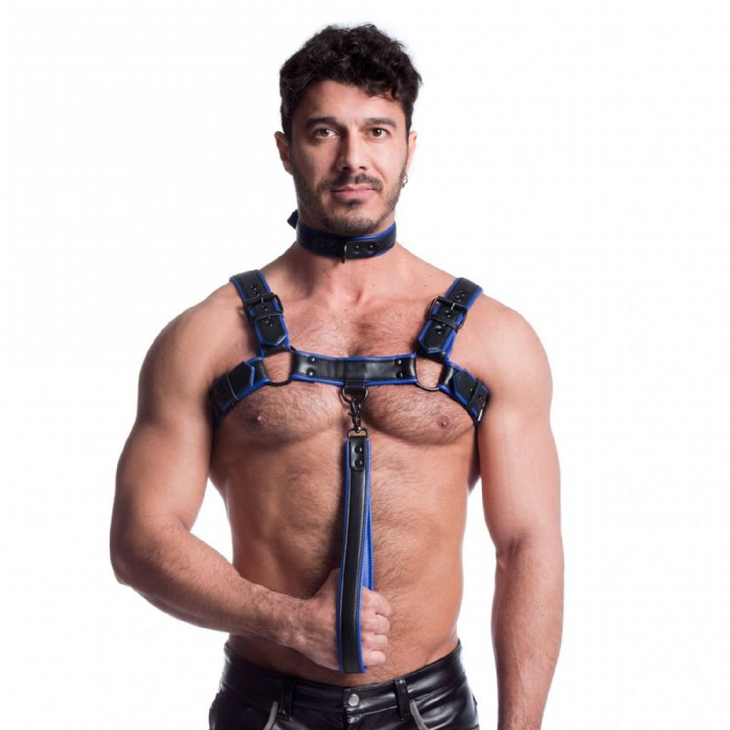 Vegan Bulldog Harness Black and Blue